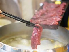 -陈记顺和潮汕牛肉火锅(番禺迎宾大道店)