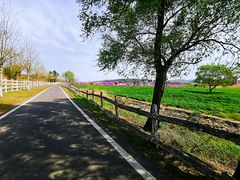 -大连铭湖国际观光牧场