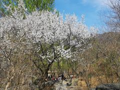 -京西十八潭风景区