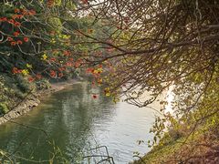 -红花湖景区