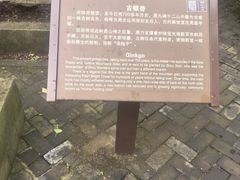 -上海佘山国家森林公园天马山园