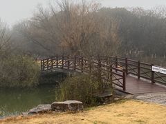 -天生桥景区