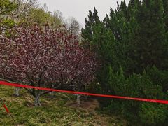 -元大都城垣遗址公园