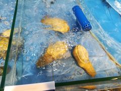 -海棠湾聚鼎香海鲜坊(海昌梦幻不夜城店)
