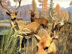 -陕西自然博物馆