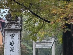 -灵谷景区