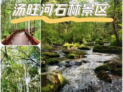 -汤旺河林海奇石景区