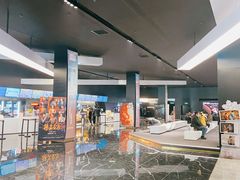 -奥斯卡升龙国际影城(RealD Cinema)