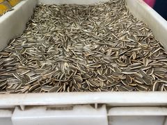 -栗满秋(燕丰西坝河店)