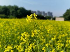 -长春公园(普阳街道)