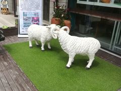 -九府羊鲜羊火锅·烧烤(海那城店)