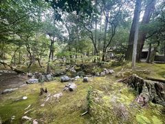 -西芳寺(苔寺)