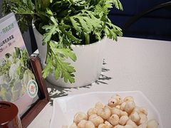 -百年果林椰子鸡(中洲店)