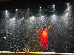 -北京大学百年讲堂