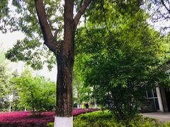 -国际非物质文化遗产博览园