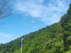 -火炉山森林公园