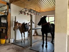 -北京群众马术培训基地