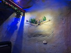 -愿者上钩(布吉老街店)