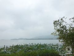 -湖畔居茶楼(湖滨店)