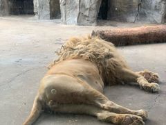 -南昌动物园