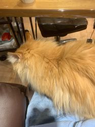 -沫儿·美甲美睫·半永久·皮肤管理