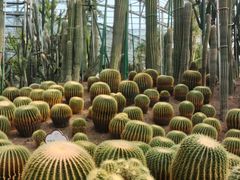 -南山植物园