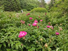 -长春公园(普阳街道)