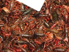 -青石桥市场北1-27号