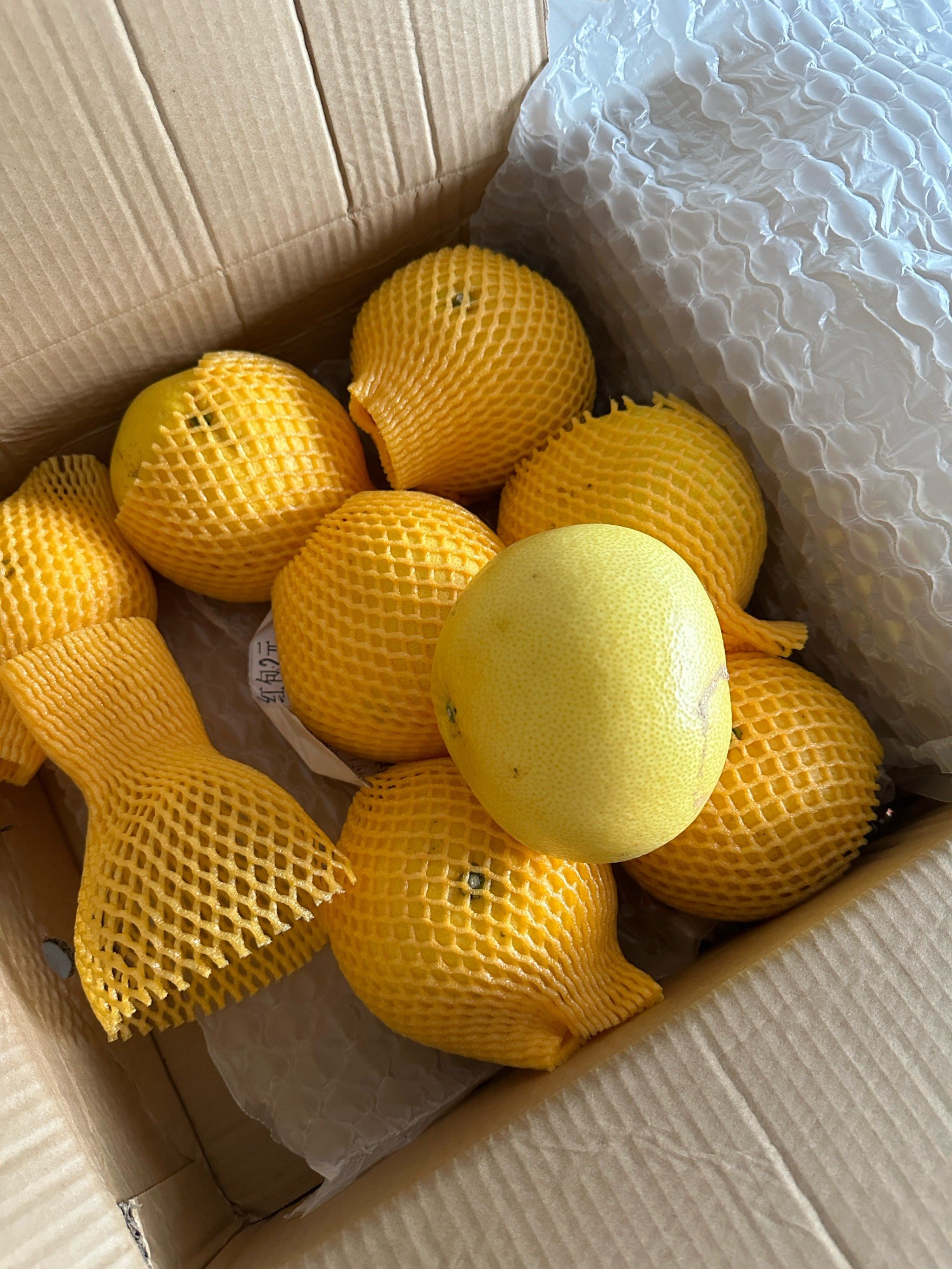 福建漳州的葡萄柚,试试看好不好吃