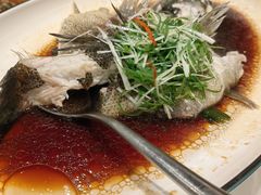 -新南华大酒店(广中店)