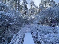 -瓦屋山景区