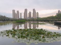 -前关湿地公园