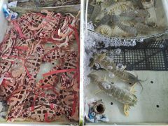 -南沙十九涌渔人码头-南门