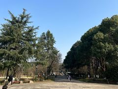 -西溪国家湿地公园