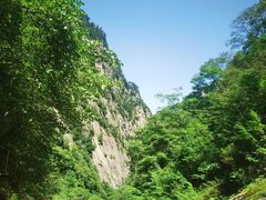 -青峰峡国家森林公园