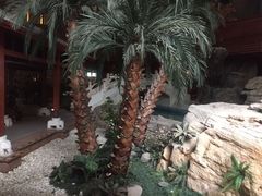 -顺景温泉