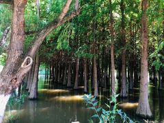 -捞渔河湿地公园