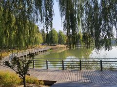 -大兴滨河森林公园