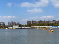 -上海长兴岛郊野公园