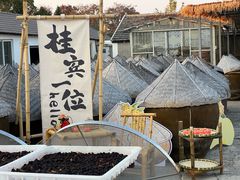 -苏州市吴中区光福窑上花果蜜饯厂