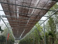 -渭南桃花源民俗文化园