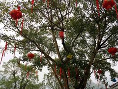 -悦城龙母祖庙