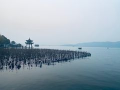 -雷泰泰台式胡椒虾(滨江金铂湾店)
