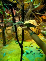 -酷嗒动物文化乐园(cutezoo西溪乐天城店)