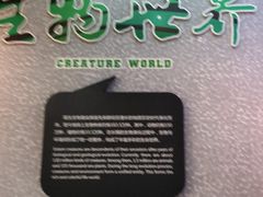 -烟台自然博物馆