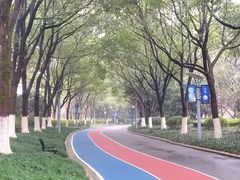 -桐乡植物园
