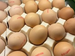 -王氏炉匠·烧鸟放题自助(三里屯店)