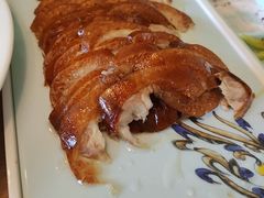 -海派美食·家宴海鲜青岛菜·石锅鲽鱼头(东方城店)