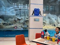 -帝企鹅自助餐厅•儿童岛•真企鹅(长隆企鹅酒店)