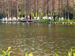 -重庆彩云湖湿地公园